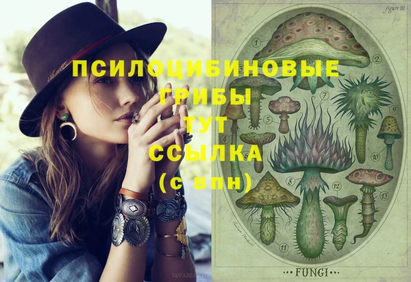 кокс Алексеевка