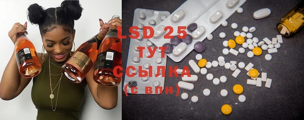 PSILOCYBIN Абдулино