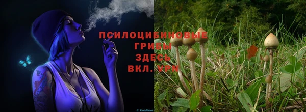 кокс Алексеевка