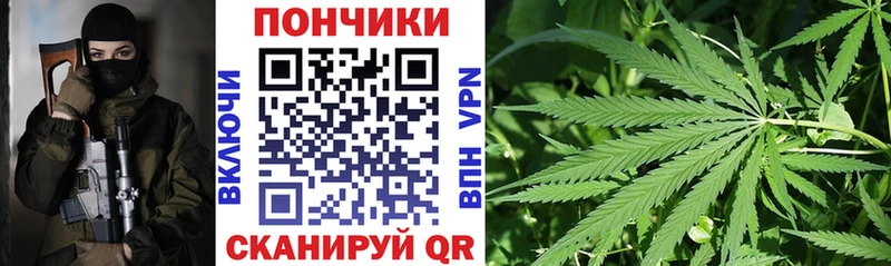 Канабис Bruce Banner  Луга 
